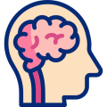 Illustration of a human brain